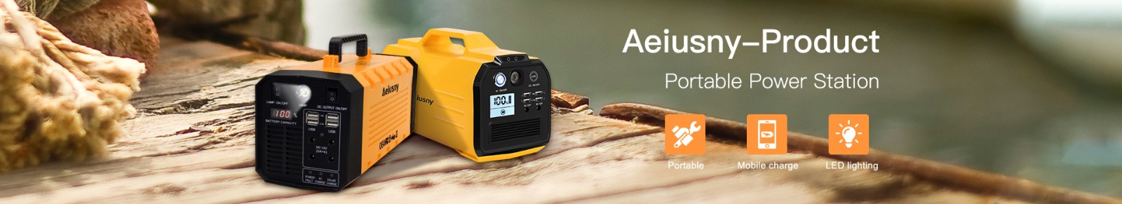 Portable generator