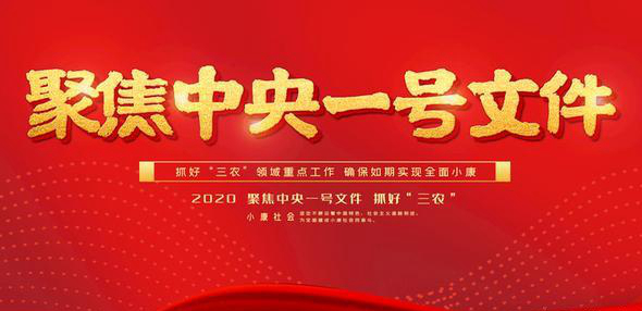2020年中央一号文件 2020年中央一号文件