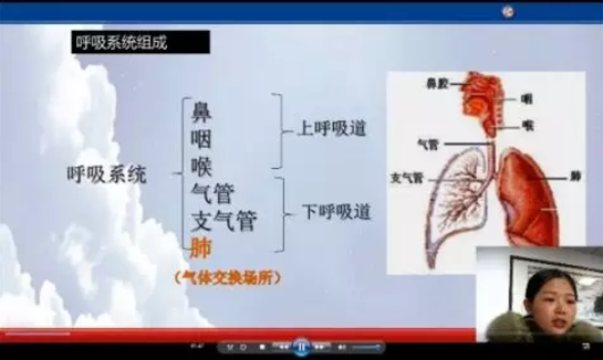 在弘博|“停学不停课”简报 在弘博|“停学不停课”简报