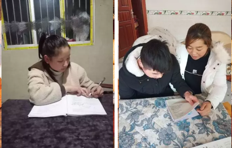 在弘博|“停学不停课”简报 在弘博|“停学不停课”简报