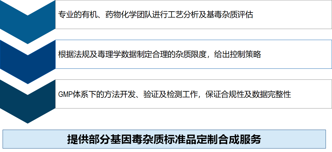 药物杂质研究 药物杂质研究