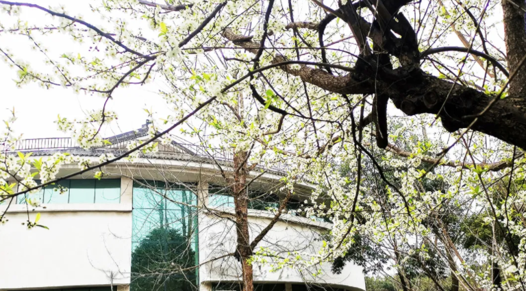 你们平安,我们便心安——致全体弘博人的一封信 你们平安,我们便心安——致全体弘博人的一封信