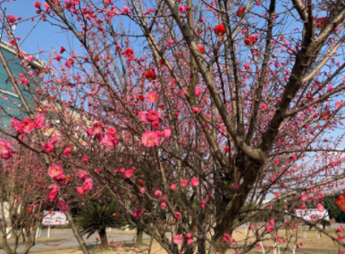 你们平安,我们便心安——致全体弘博人的一封信 你们平安,我们便心安——致全体弘博人的一封信