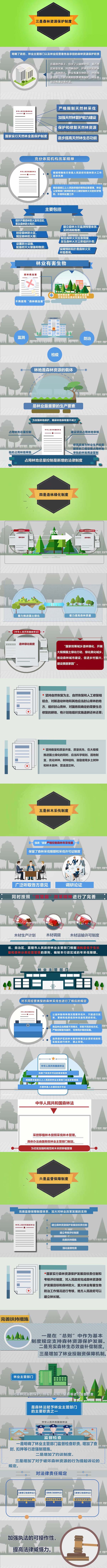 新《中华人民共和国森林法》7月1日起正式实施 新《中华人民共和国森林法》7月1日起正式实施