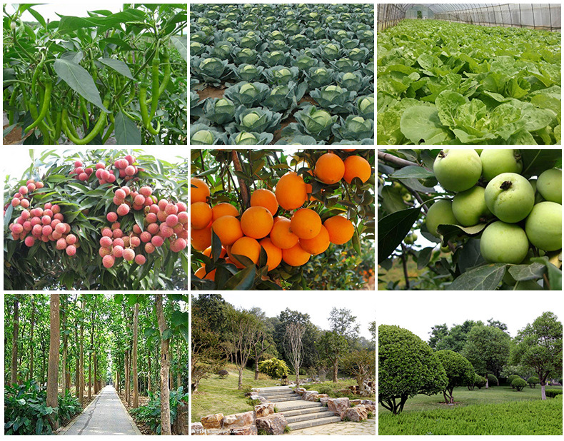 复合微生物肥料 复合微生物肥料