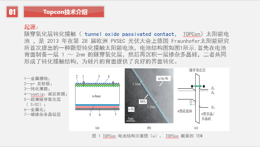 topcon电池技术分析