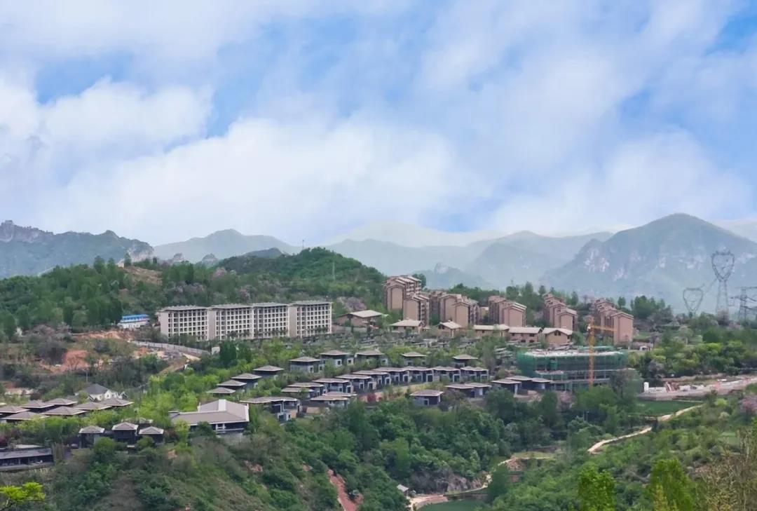 华北 | 郑州沐心苔森林学园:招生说明会 华北 | 郑州沐心苔森林学园:招生说明会