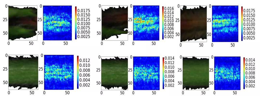 植物病害的高光谱图像解译识别：3D-CNN与显著图模型