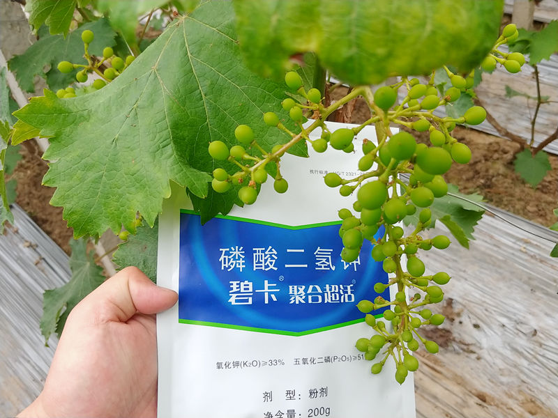 磷酸二氢钾怎么使用