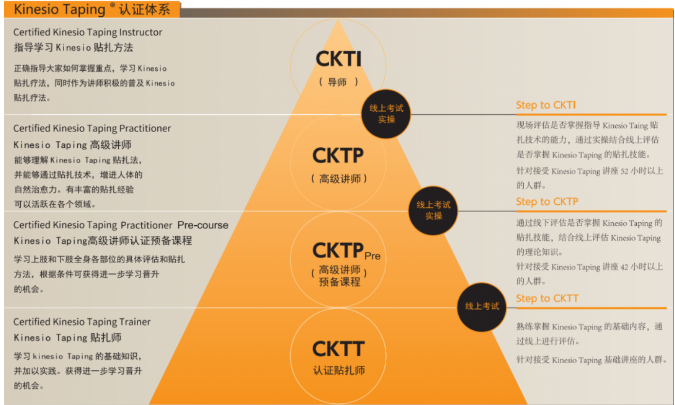 Kinesio国际认证贴扎技术初级培训班 CKTT Kinesio国际认证贴扎技术初级培训班 CKTT