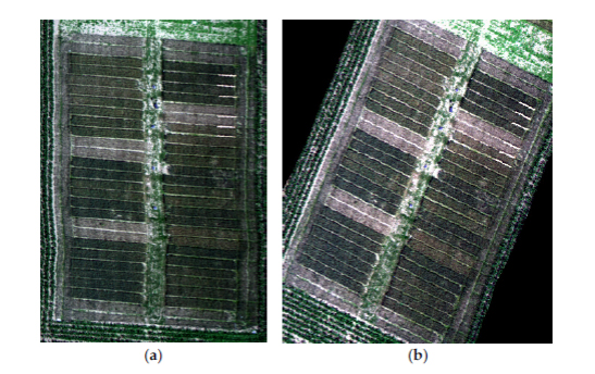 基于高分辨率无人机的高光谱图像小麦的LAI和叶绿素估算