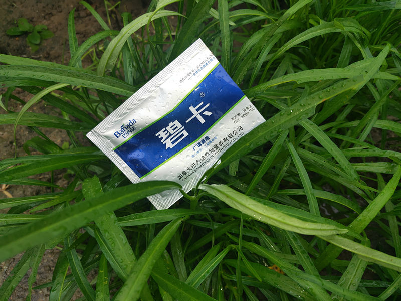 進口葉面肥有哪些使用效果？