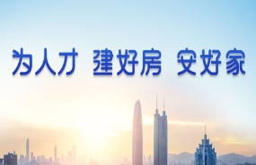 深圳市人才安居集团“十四五”规划及可持续发展研究咨询项目高层见面会