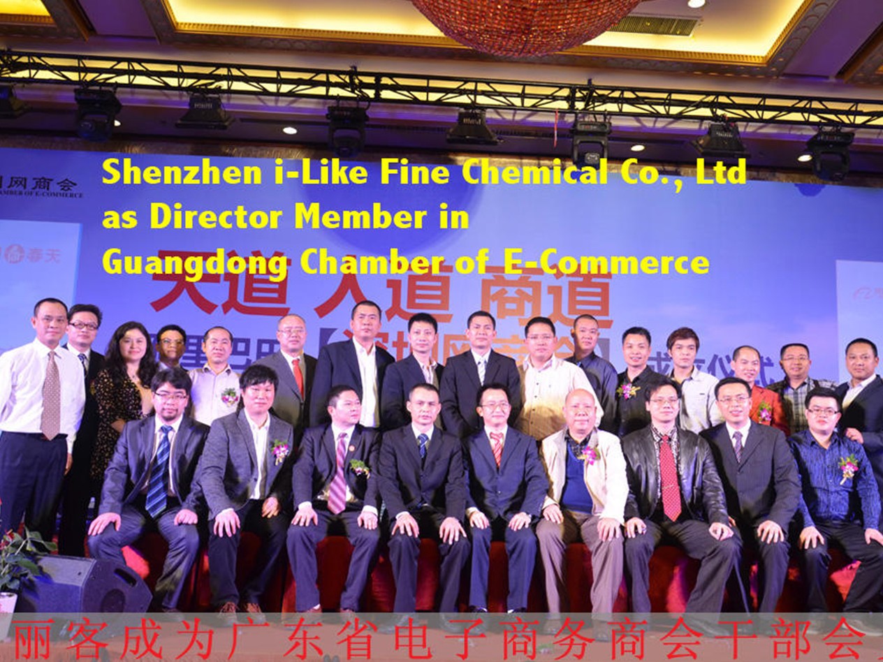 Director Member of Guangdong Chamber of E-Commer;