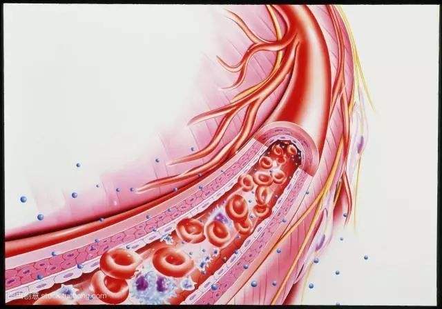 血管里有大秘密，贝斯曼超声多普勒血流检测仪助您预防外周血管疾病