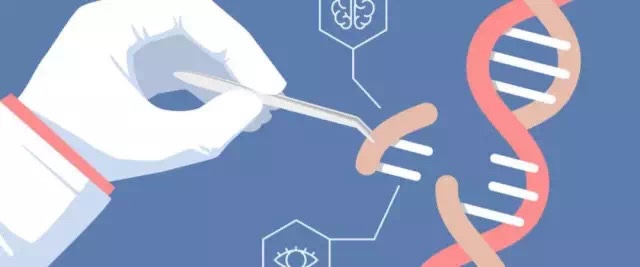 研究发现,生酮饮食疗法能提高 GLUT1DS人群生活质量和改善睡眠 研究发现,生酮饮食疗法能提高 GLUT1DS人群生活质量和改善睡眠