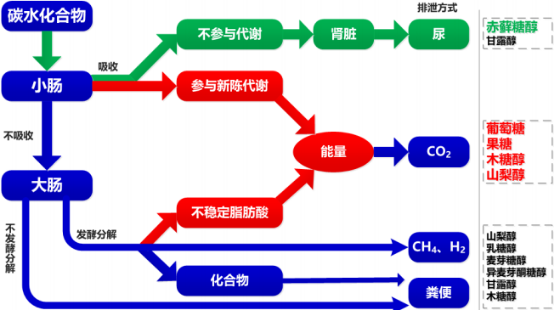 2021年中国赤藓糖醇行业市场发展前景预测及产能、产量、销售收入、市场规模分析预测   