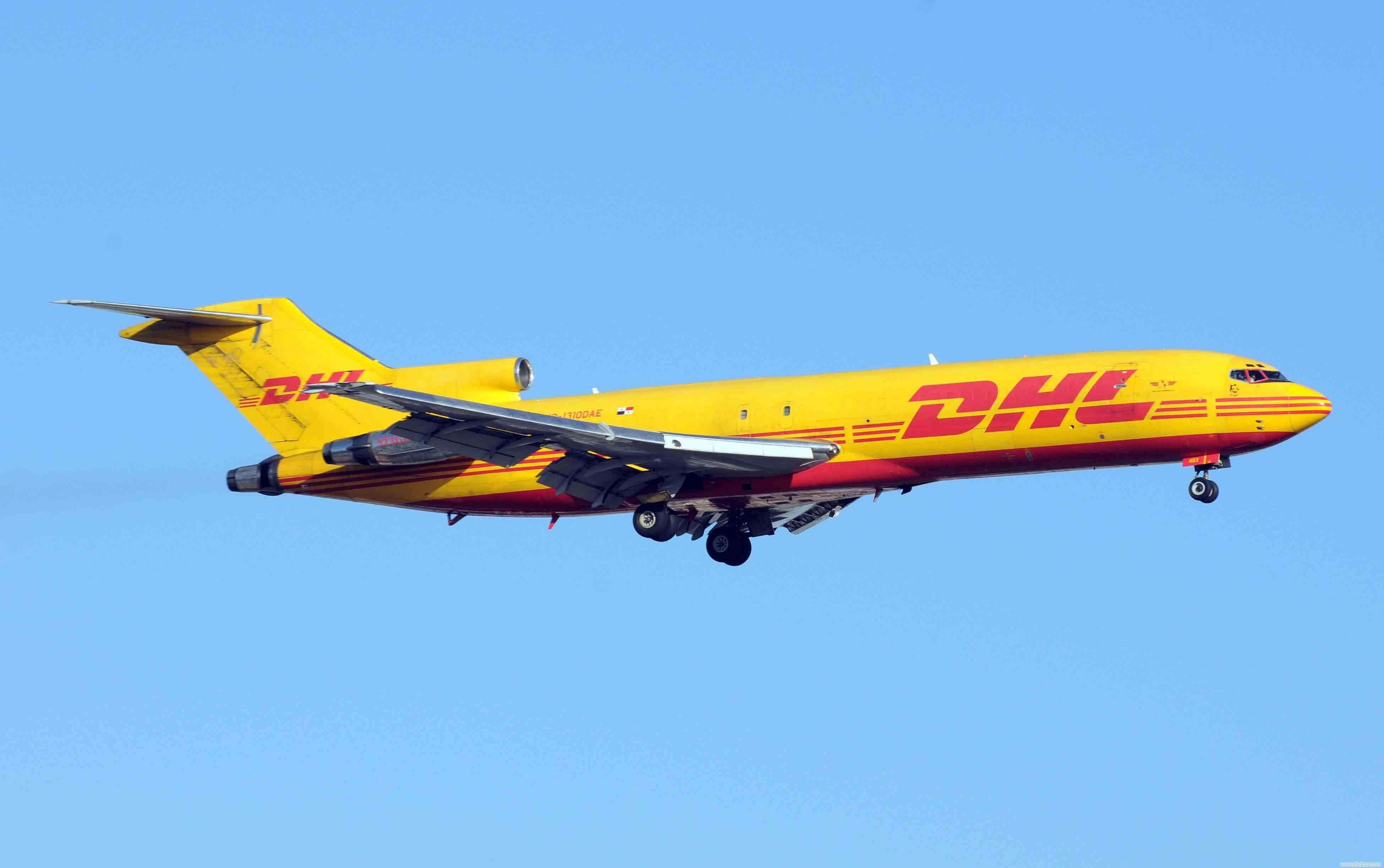 DHL快递运输进口狗粮清关多久？
