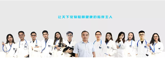 当宠物生病时,遇到一个在线宠物医生是什么体验? 当宠物生病时,遇到一个在线宠物医生是什么体验?