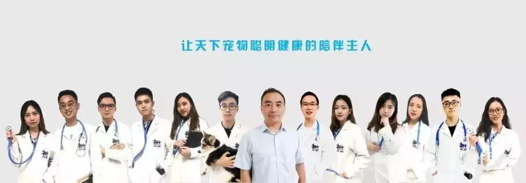 【宠物咨询】有没有在线宠物医生之类的服务? 【宠物咨询】有没有在线宠物医生之类的服务?