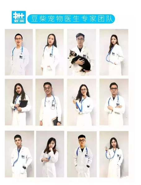 当宠物生病时,遇到一个在线宠物医生是什么体验? 当宠物生病时,遇到一个在线宠物医生是什么体验?