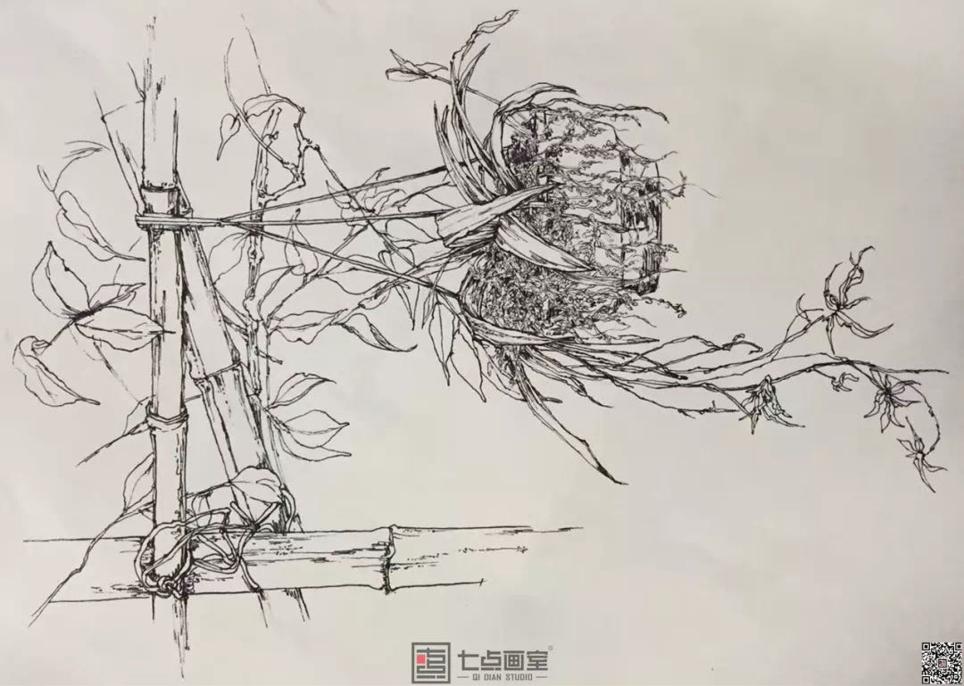 七点非常态集训预科班丨应对失控考试政策的新课改 七点非常态集训预科班丨应对失控考试政策的新课改