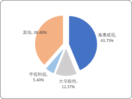 全球及中国视频监控系统市场专项调研及投资战略可行性预测
