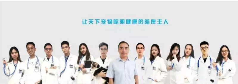 有没有在线宠物医生之类的服务? 有没有在线宠物医生之类的服务?
