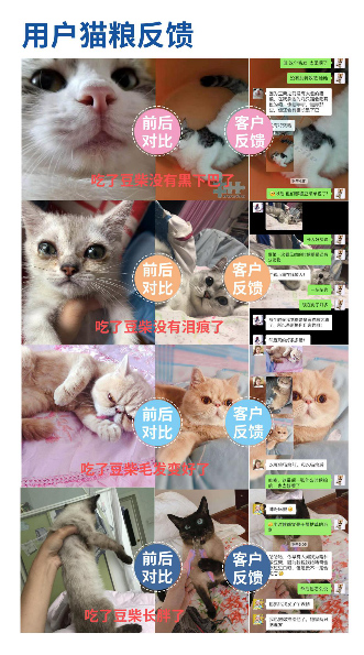 怎么给猫主子选择猫粮? 怎么给猫主子选择猫粮?