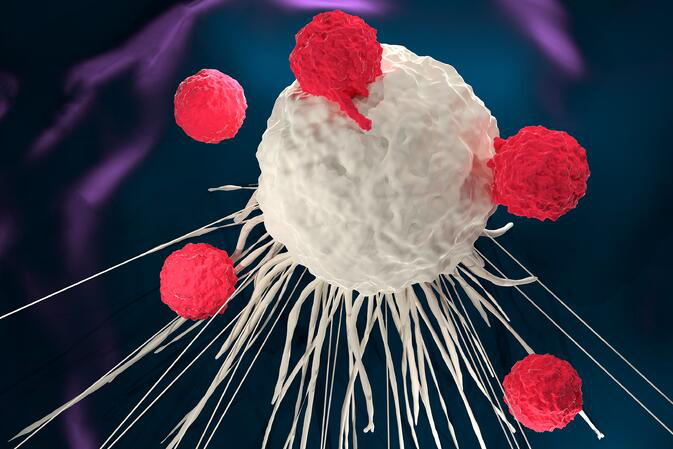 研究新进展—乳腺癌中作为免疫调节剂的RANK通路使“cold”肿瘤变“hot”