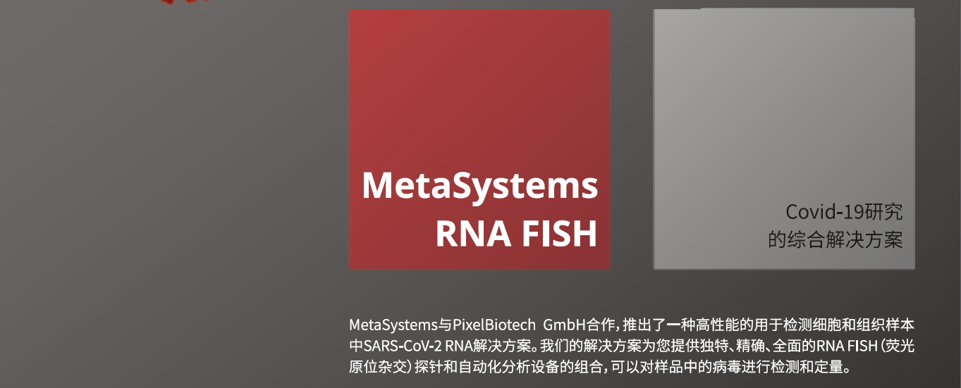 Metasystems公司最新推出SARS-COV-2 RNA-FISH探针