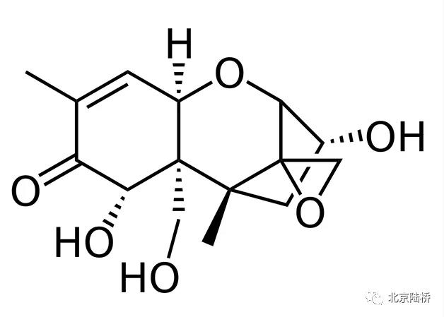 真菌毒素檢測(cè)技術(shù)——嘔吐毒素篇