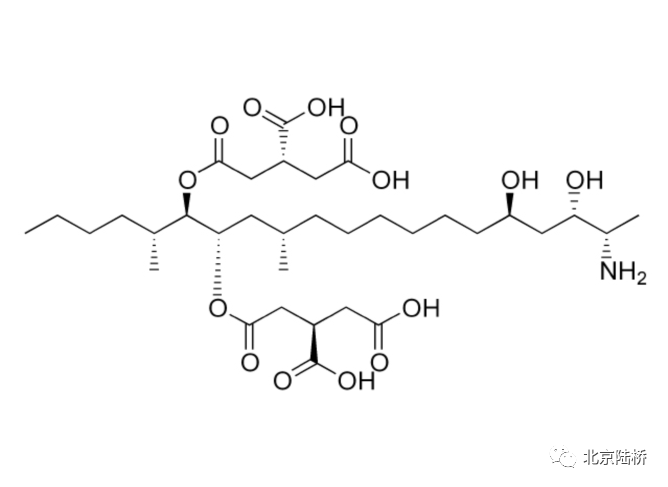 真菌毒素檢測技術(shù)——伏馬毒素篇