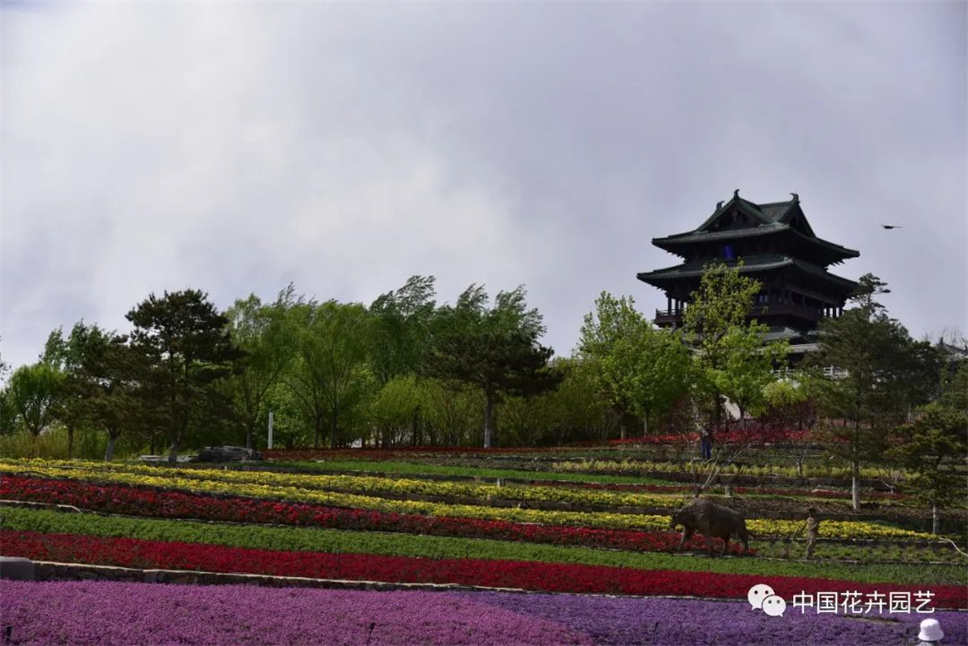 第二屆北京國(guó)際花園節(jié)在北京延慶開幕 