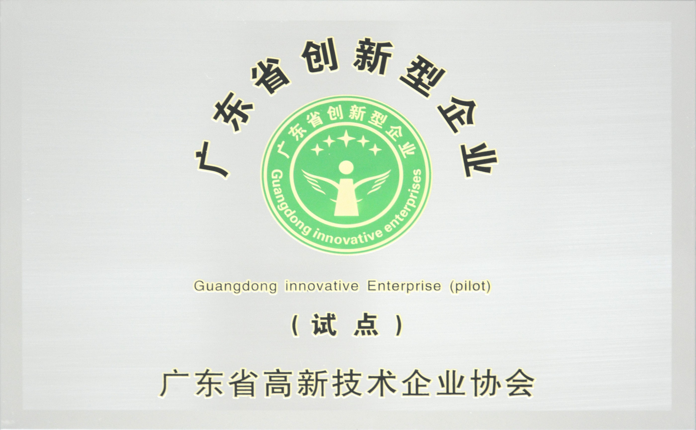 广东省创新型试点企业