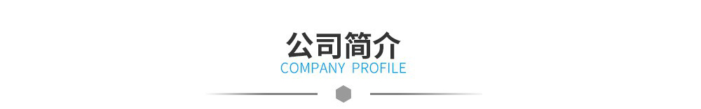 公司简介 公司简介