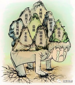 “求带”——维生素检验国标微生物法太“南”了