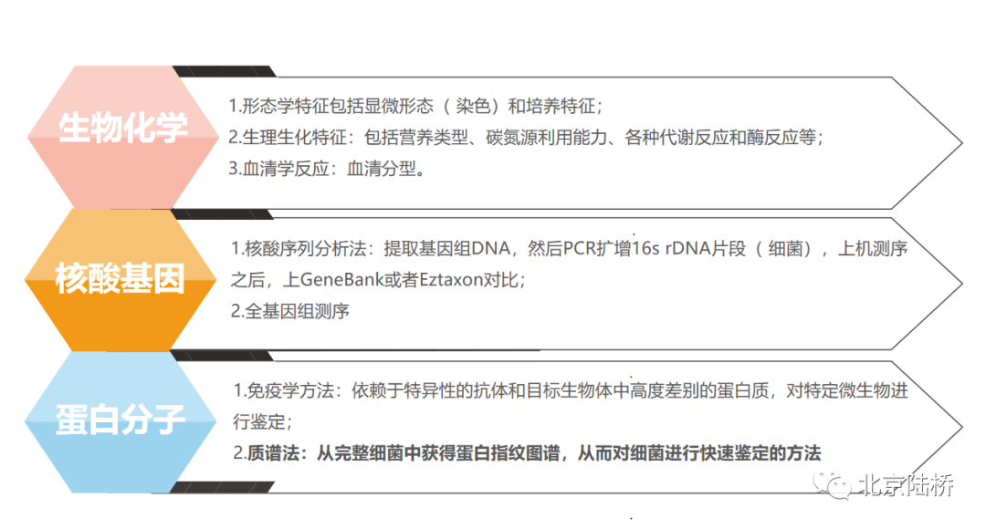 微生物鉴定方法之飞行时间质谱