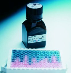 天然免疫学热点领域科研抗体(AbD Serotec®)---简便/快速/可靠的细胞活力和增殖分析试剂