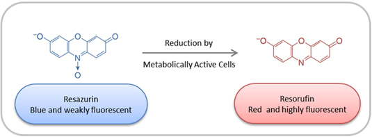 alamarBlue-新一代细胞活性指示剂
