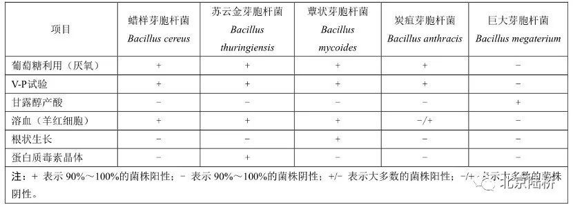 蠟樣芽孢桿菌檢驗(yàn)，知多少？