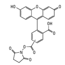 Vector Laboratories热销产品——Fluorescein One-Shot Antibody Label