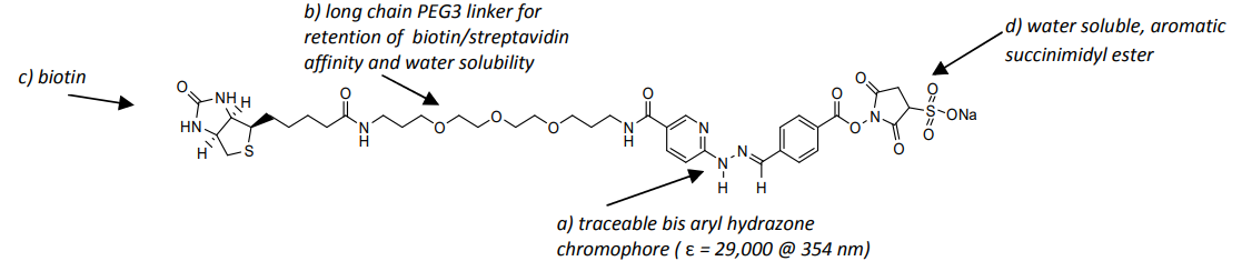 Vector Laboratories热销产品——ChromaLink® Biotin Antibody Labeling Reagent (Water Soluble)