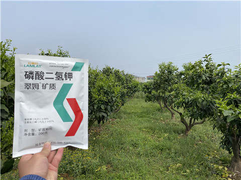 翠姆磷酸二氢钾好?看看经销商如何说 翠姆磷酸二氢钾好?看看经销商如何说