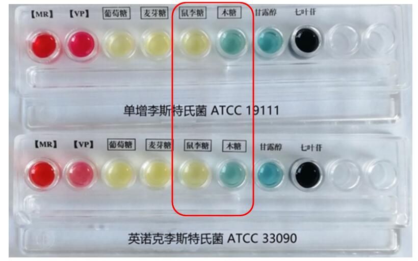 掃黑除惡之檢驗(yàn)員智斗村霸—單增李斯特氏菌