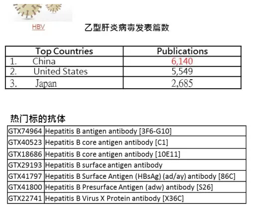乙型肝炎病毒Hepatitis B virus (HBV)