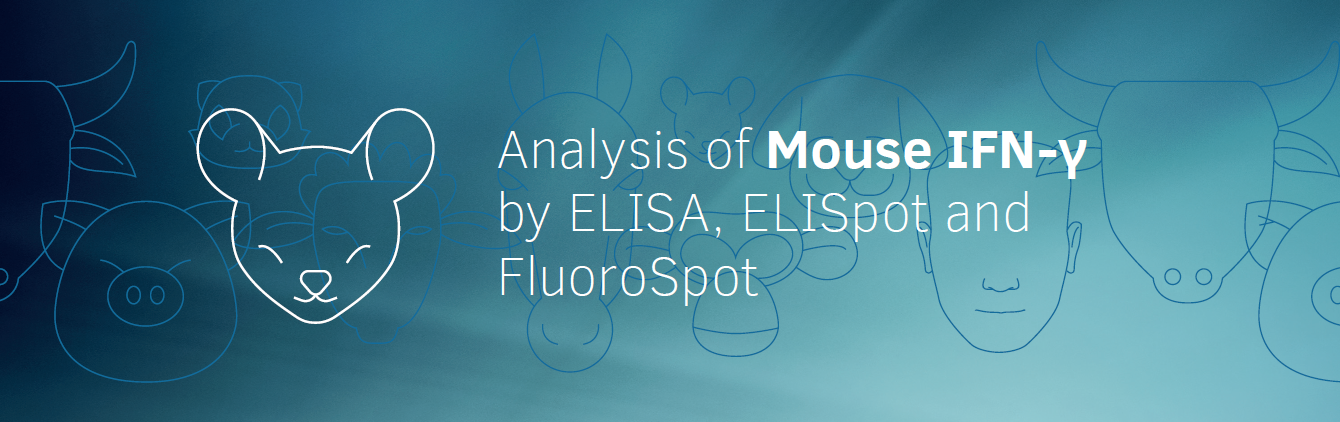 小鼠IFN-γ抗体对/ELISA试剂盒/ELISpot试剂盒