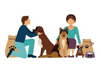 寵物物流托運(yùn)回家后如何正確飼養(yǎng)？