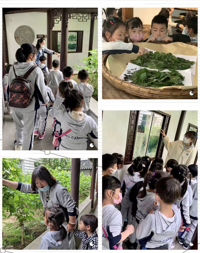 苏州盛世丝育，枫华幼儿园的“丝绸文化之旅”