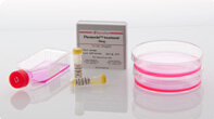 Plasmocin™——支原体预防与去除利器